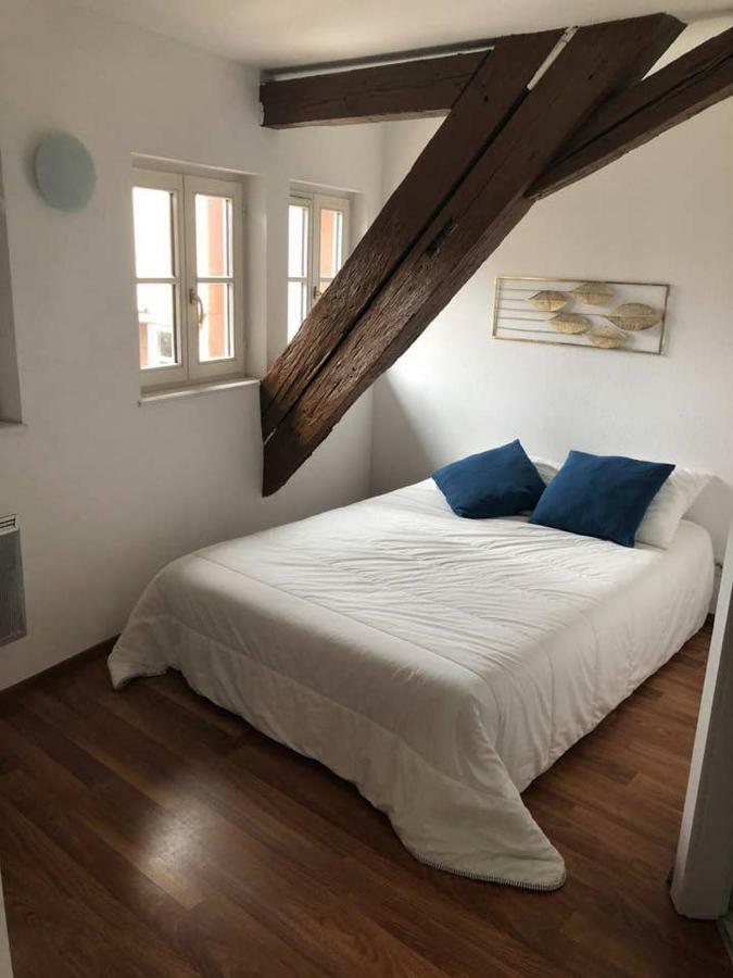 Appartement Avec Balcon Centre Ville Strazburg Dış mekan fotoğraf