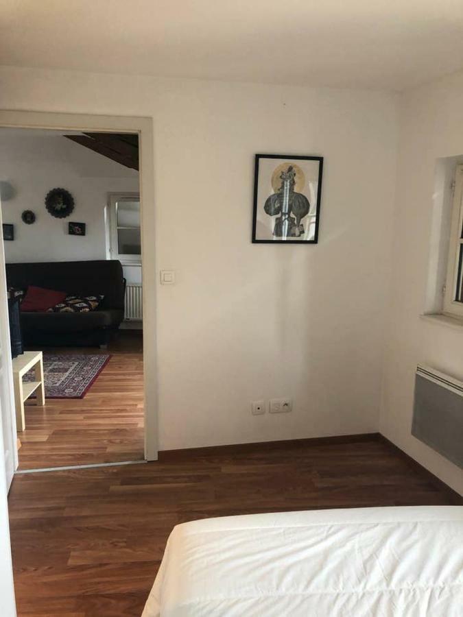 Appartement Avec Balcon Centre Ville Strazburg Dış mekan fotoğraf